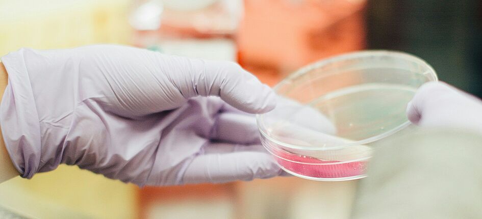 Visienco wins Top 100 Public Voting in biotech category