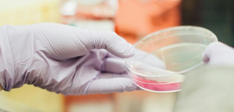 Visienco wins Top 100 Public Voting in biotech category