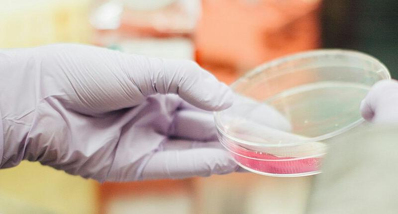 Visienco wins Top 100 Public Voting in biotech category